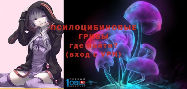 гидра Магадан