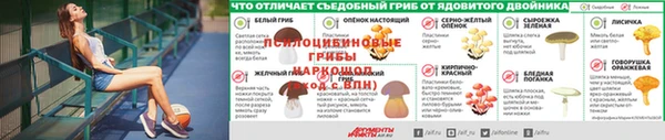 ГАЛЛЮЦИНОГЕННЫЕ ГРИБЫ Вязьма