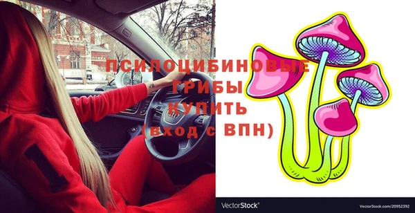 первитин Вяземский