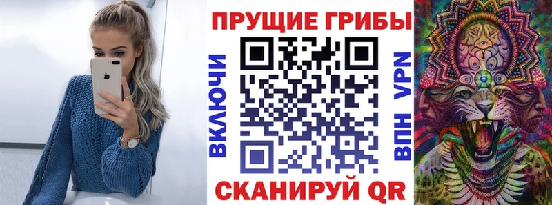 Псилоцибиновые грибы Psilocybe  где найти   Дрезна 